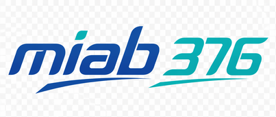 miab 376